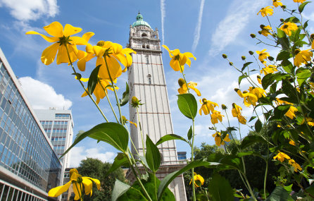 The Queen's Tower with framed by Spring flowers