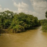 Scenic shot of river in Nigeria.