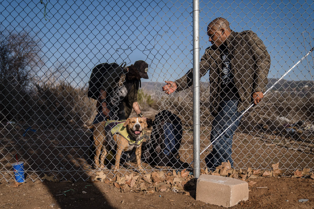 Two men wearing jackets and a dog are seen behind a chain link fence. The man on the left is wearing a backpack and hat. The man on the right is extending his hand towards the dog with a black and blue backpack in between them.