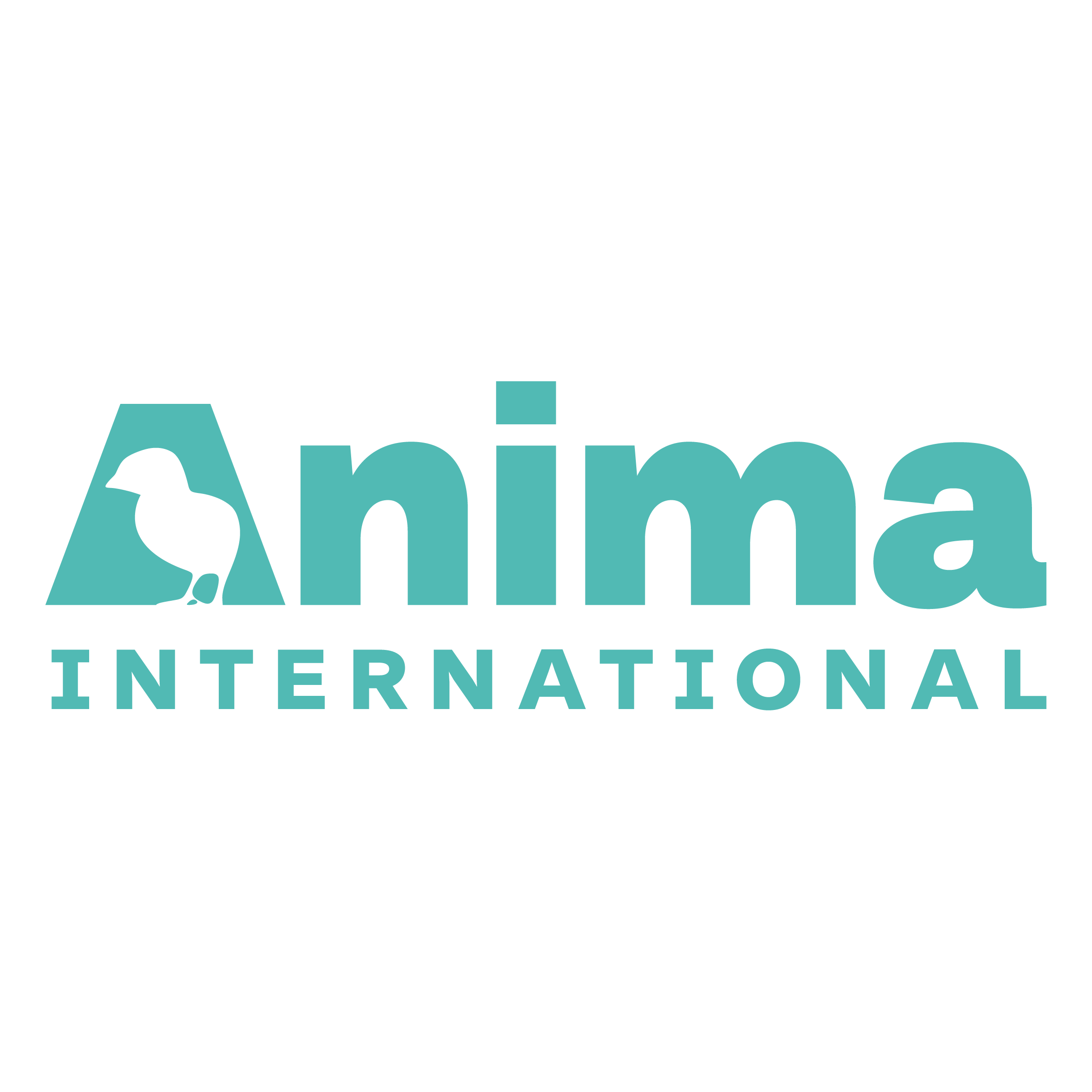 Anima International