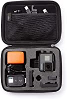 Amazon Basics Small Carrying Case for GoPro And Accessories - 9 x 7 x 2.5 Inches, Black