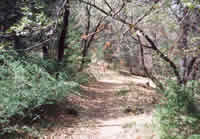 Four Springs Trail