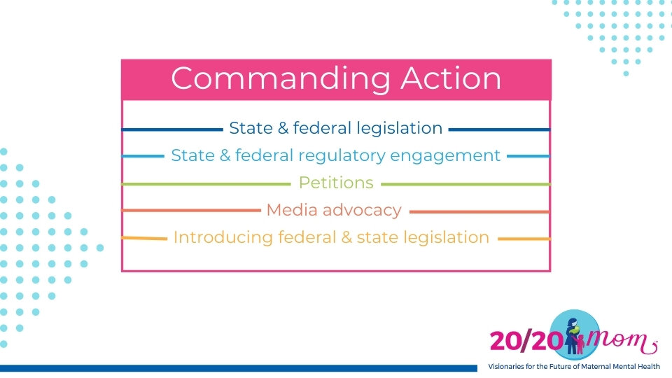 Commanding Action State &amp; federal legislation State &amp; federal regulatory engagement Petitions Media advocacy  Introducing federal &amp; state legislation