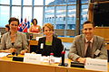 Finske medlemmer av Nordisk rads Presidium i Europaparlamentet i Brussel, juni 2011.jpg