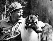 Lassie with actor Robert Bray.jpg