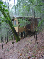 The Gibbons Cabin