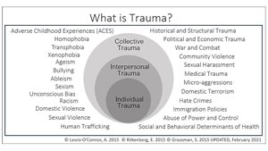 Trauma-Informed Care: Recognizing and Resisting Re-Traumatization in Health Care