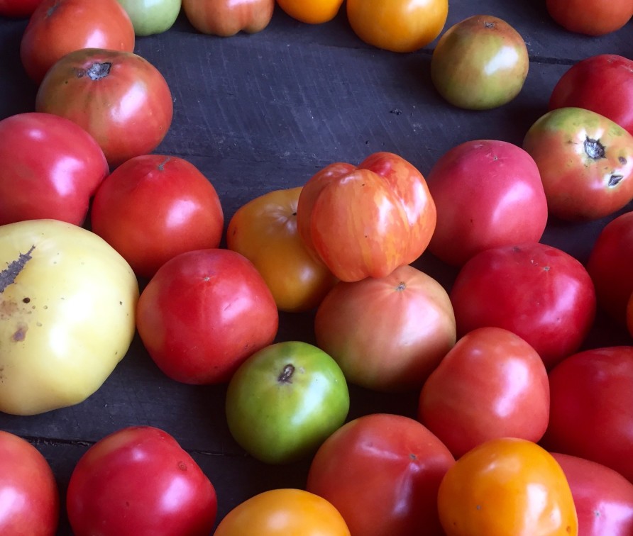Photo of red, green and yellow tomatoes on a table