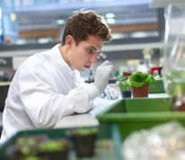 A Life Sciences student working in the lab