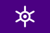 Vlag van Tokio