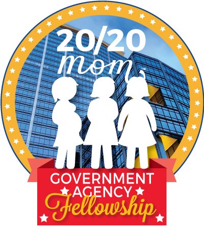 2020 Mom Government Agency Maternal Mental Health Fellows Program