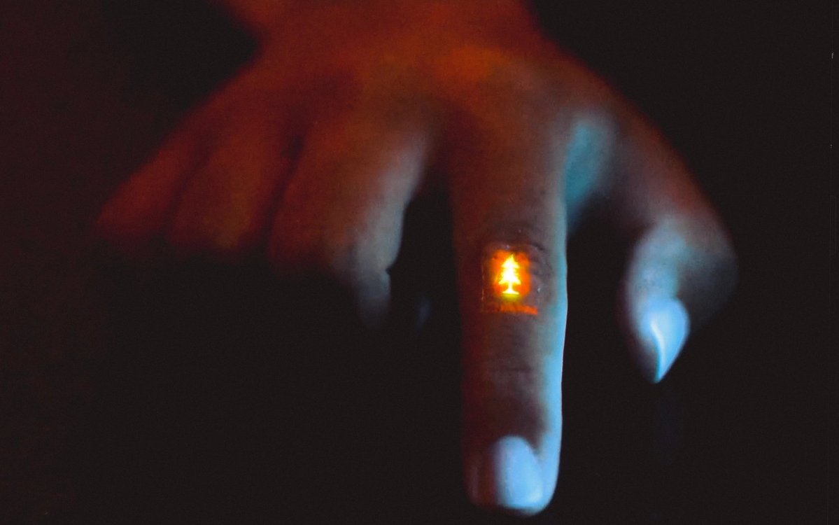 Photo of a finger with a small glowing tree on it