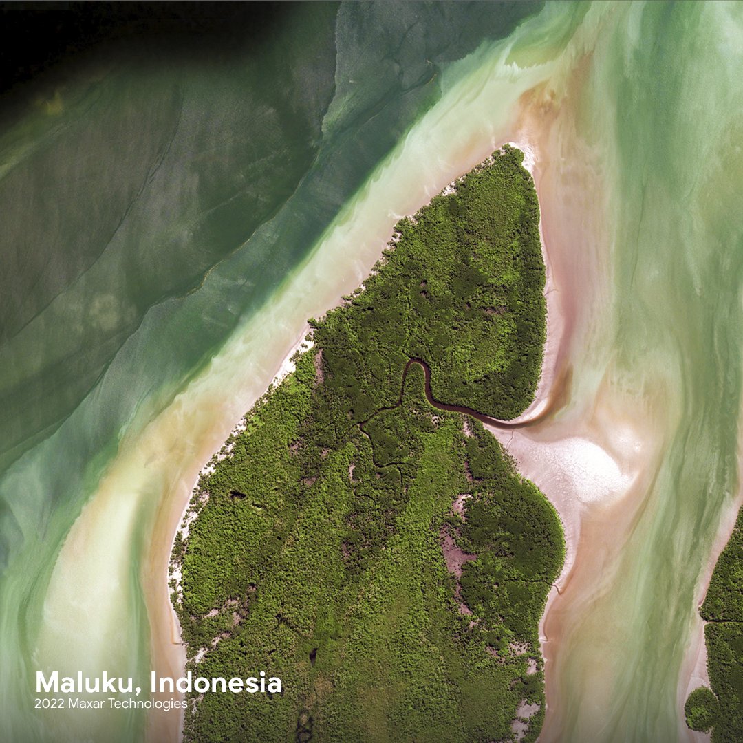 An aerial view shows the tree canopy coverage in Maluku, Indonesia.