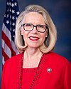 Carol Miller, Official Portrait, 116th Congress.jpg