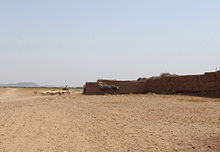 shepherd leaving his sheep outside of Marrakech, Morocco