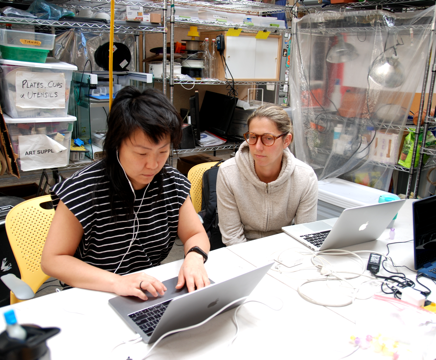 two people working on laptops.