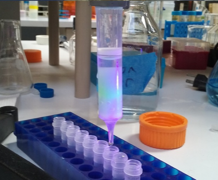 Protein purification process.