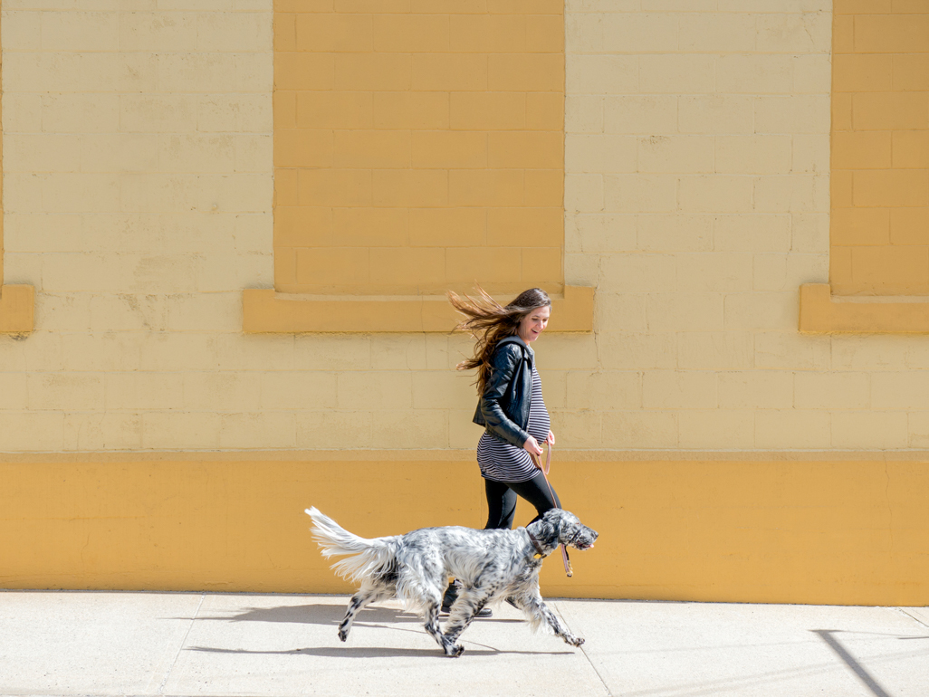 pregnant woman walking her dog