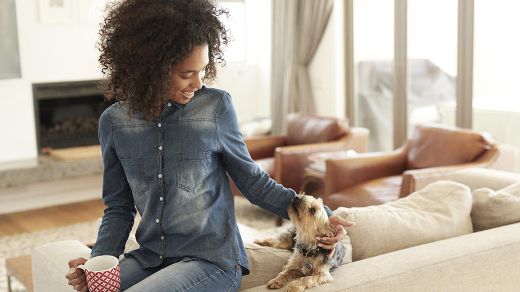 pretty woman and small dog looking at each other