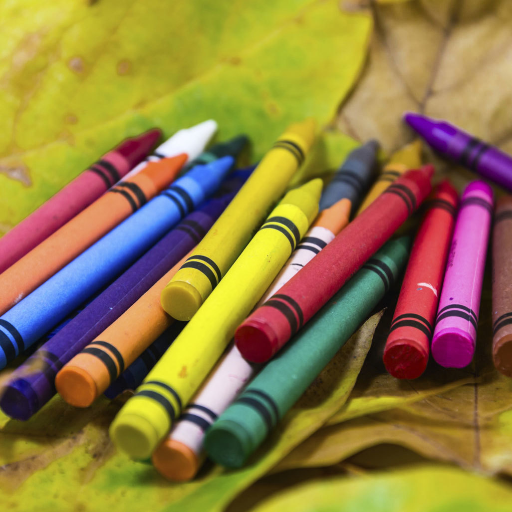 multiple coloring crayons laying on a leaf