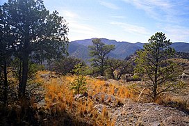 Davis Mountains.jpg