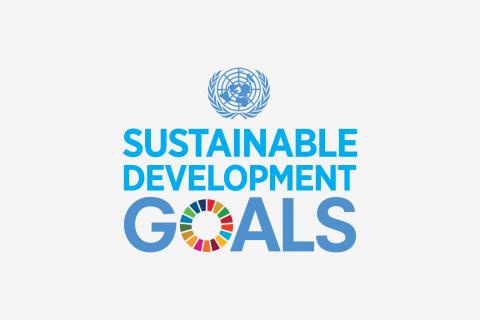 SDG tile