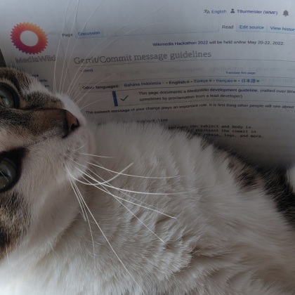 a cat is reading the Gerrit commit message guidelines on MediaWiki.org