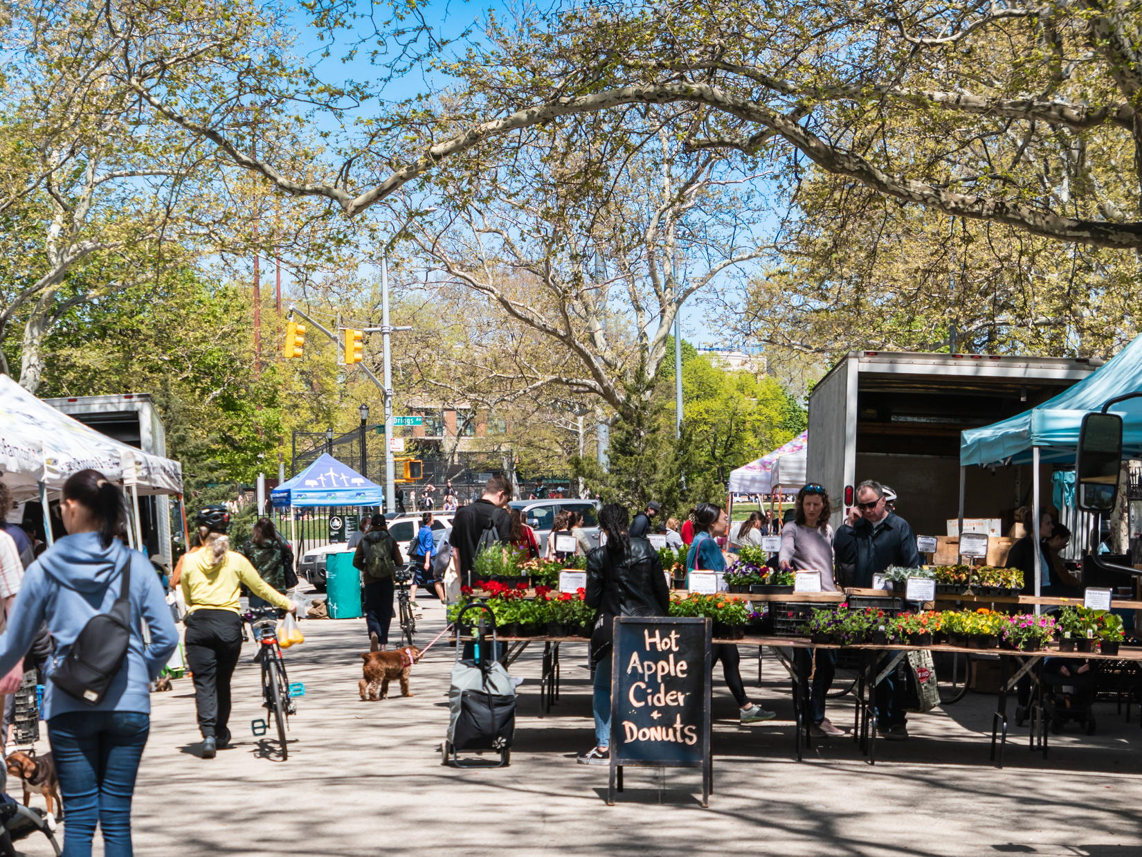 People at Farmers Market in Brooklyn Park