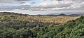 A view of yercaudu.jpg