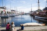 Aktivistsamling i Arendal