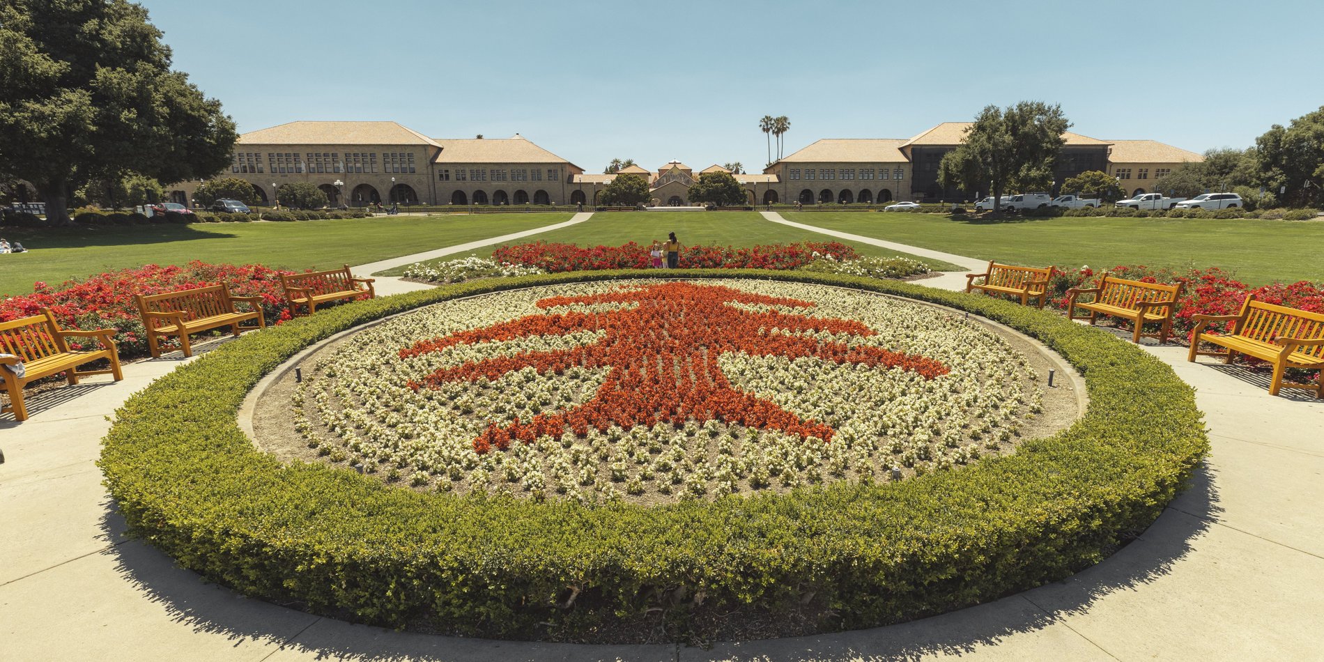 Oval flowers with tree design in red flowers surrounded by white flowers and green hedges