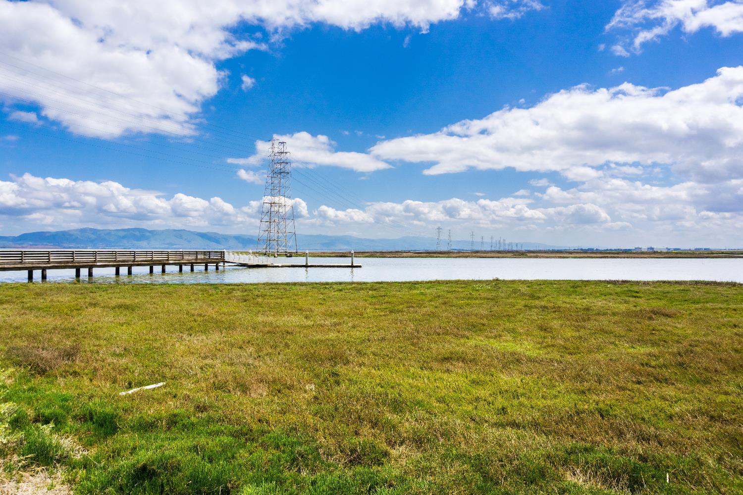 Grassy marshes of the Baylands with a nearby boardwalk out to a small dock over the water against a blue sky with scattered white clouds.