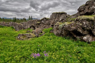 Iceland - 2017