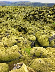 Iceland - 2017