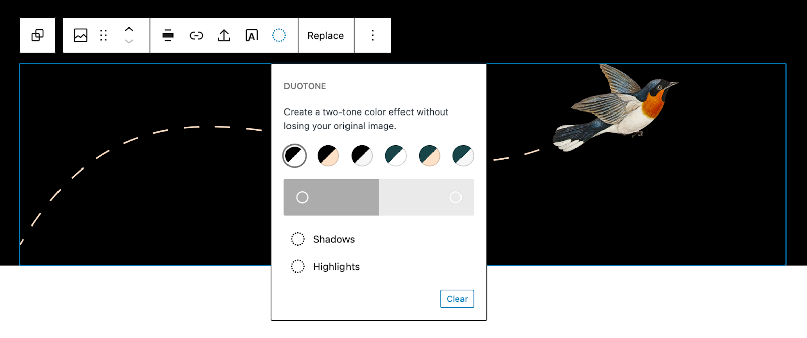 Image of various duotone options built into the Twenty Twenty-Two theme.