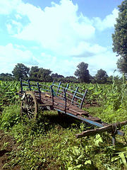 Cart with iron wheels in a farm at Chinawal village, India