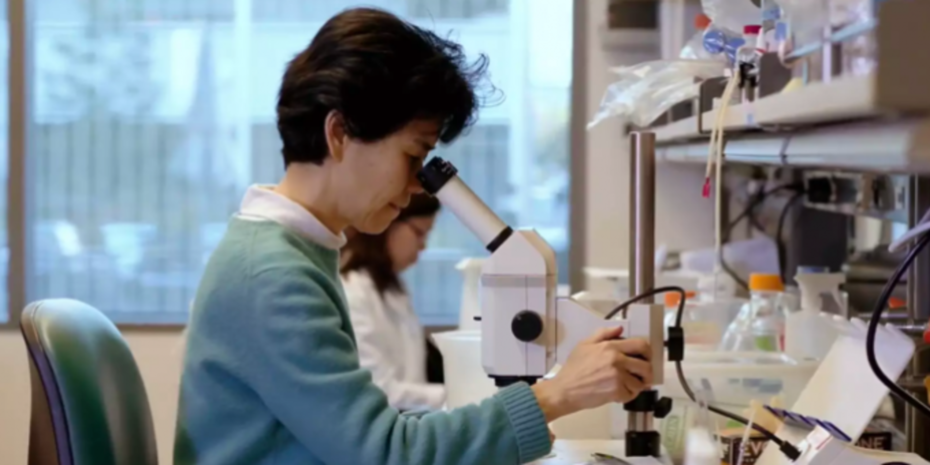 Student looking into microscope