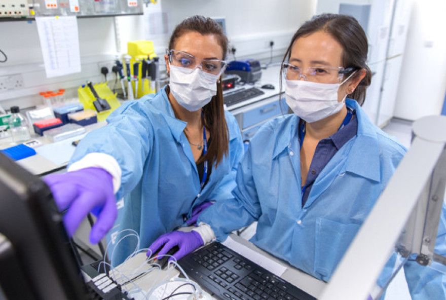 Two researchers in a lab