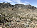 Looking at the Nopah Range Wilderness Area from about one mile north of the roadway, 2019