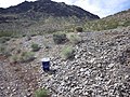 Trilobite hunting area next to the roadway has good access and easy parking, 2017