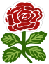 England rugby shirt rose 1871.svg