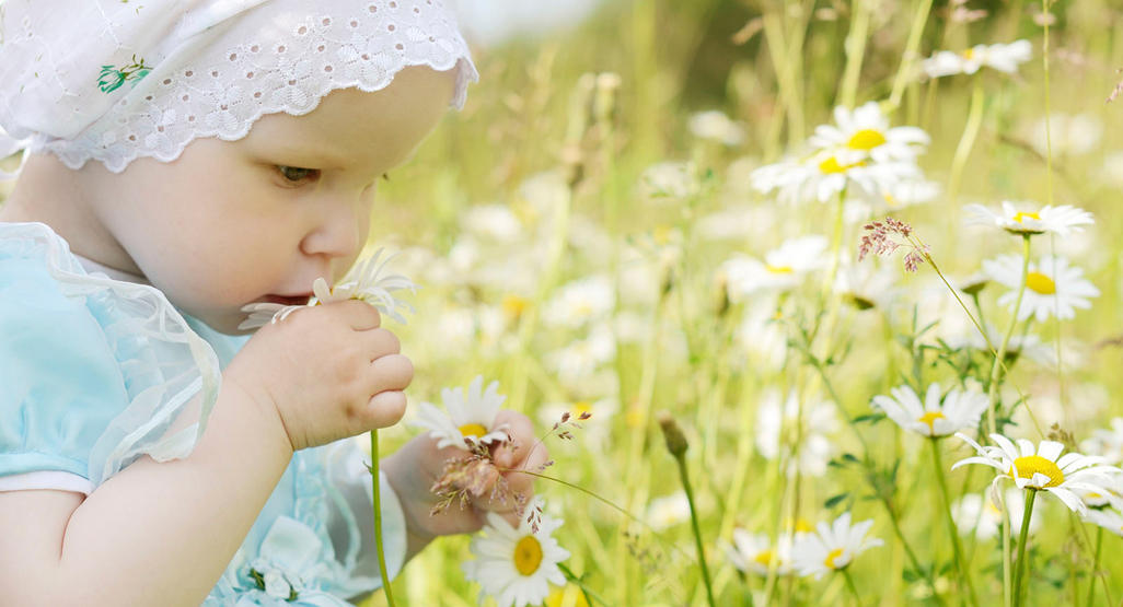 Baby riecht an einer Blume