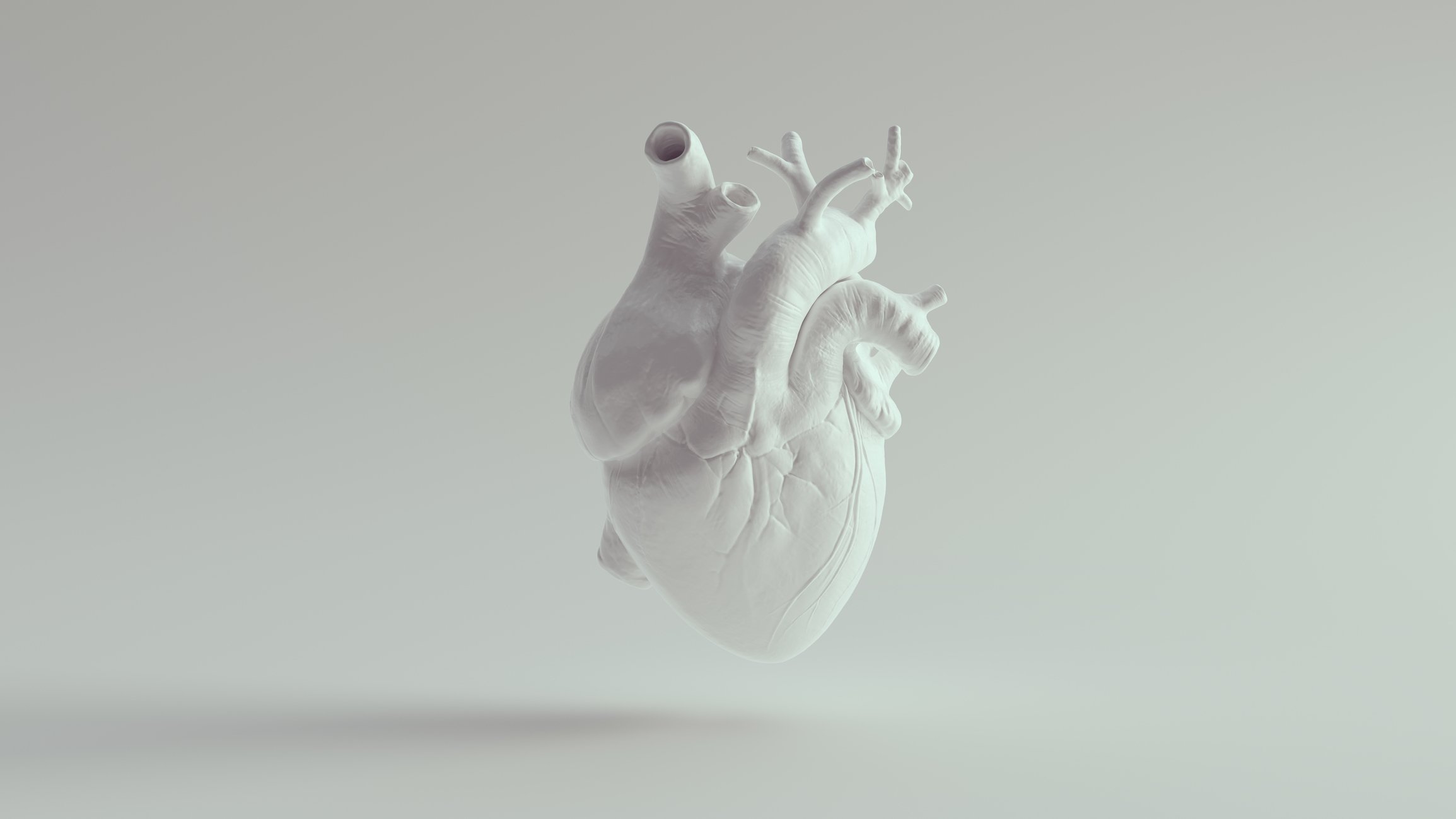 heart model, heart disease