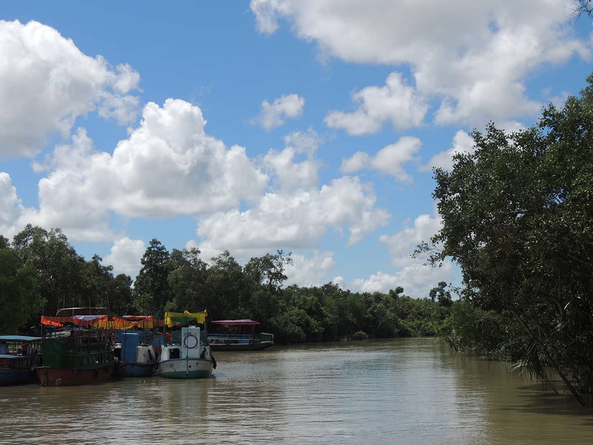 সুন্দরবনের করমজল - নিশাচর