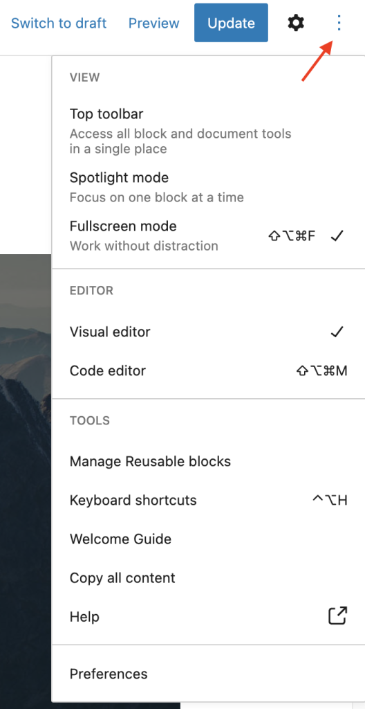 More options in the WordPress block editor include view modes and visual and code editor.