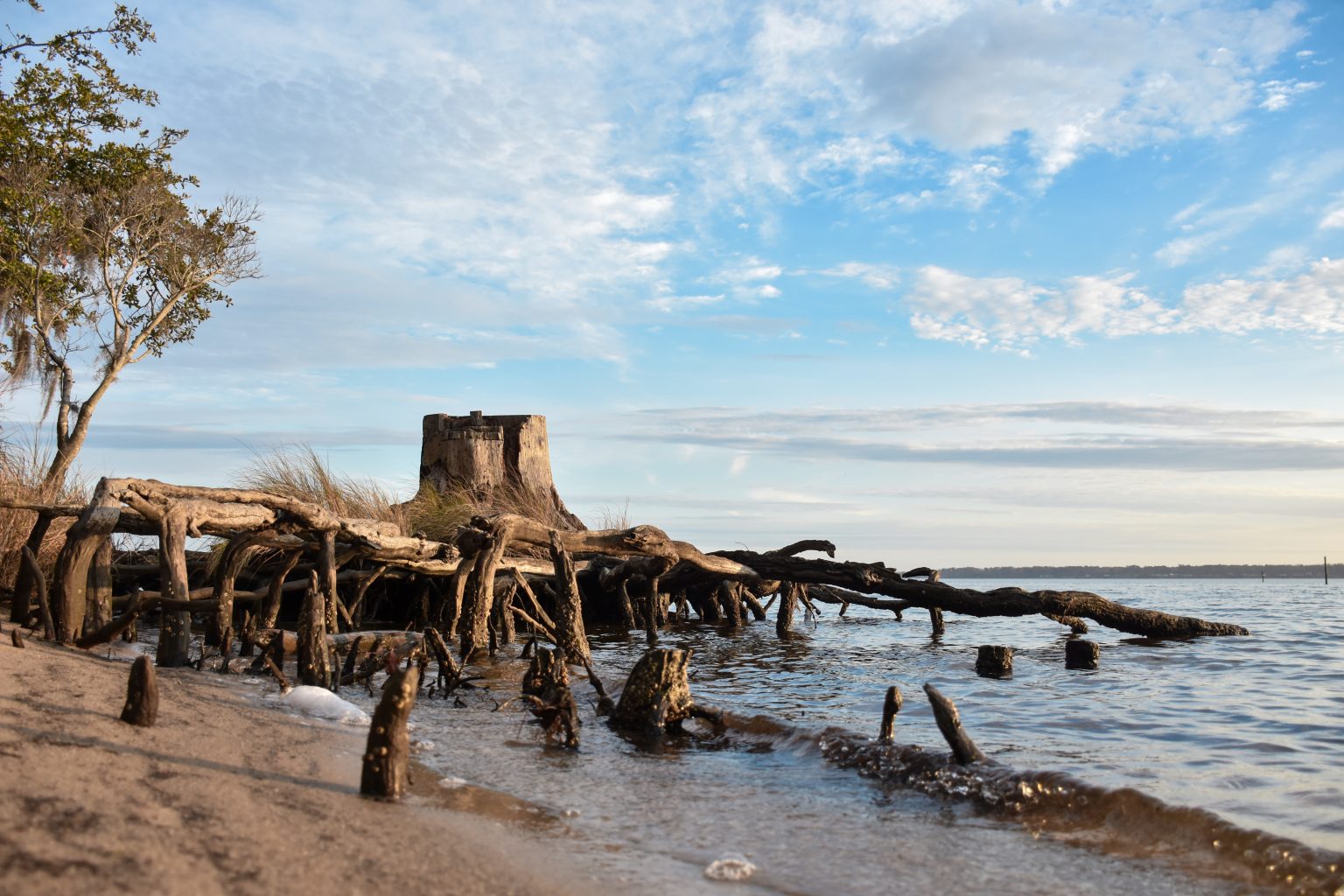 Tree trunk and roots on an eroded riverbank with a blue sky with clouds. Photo by Marcus Burnette on the WordPress Photo Directory.