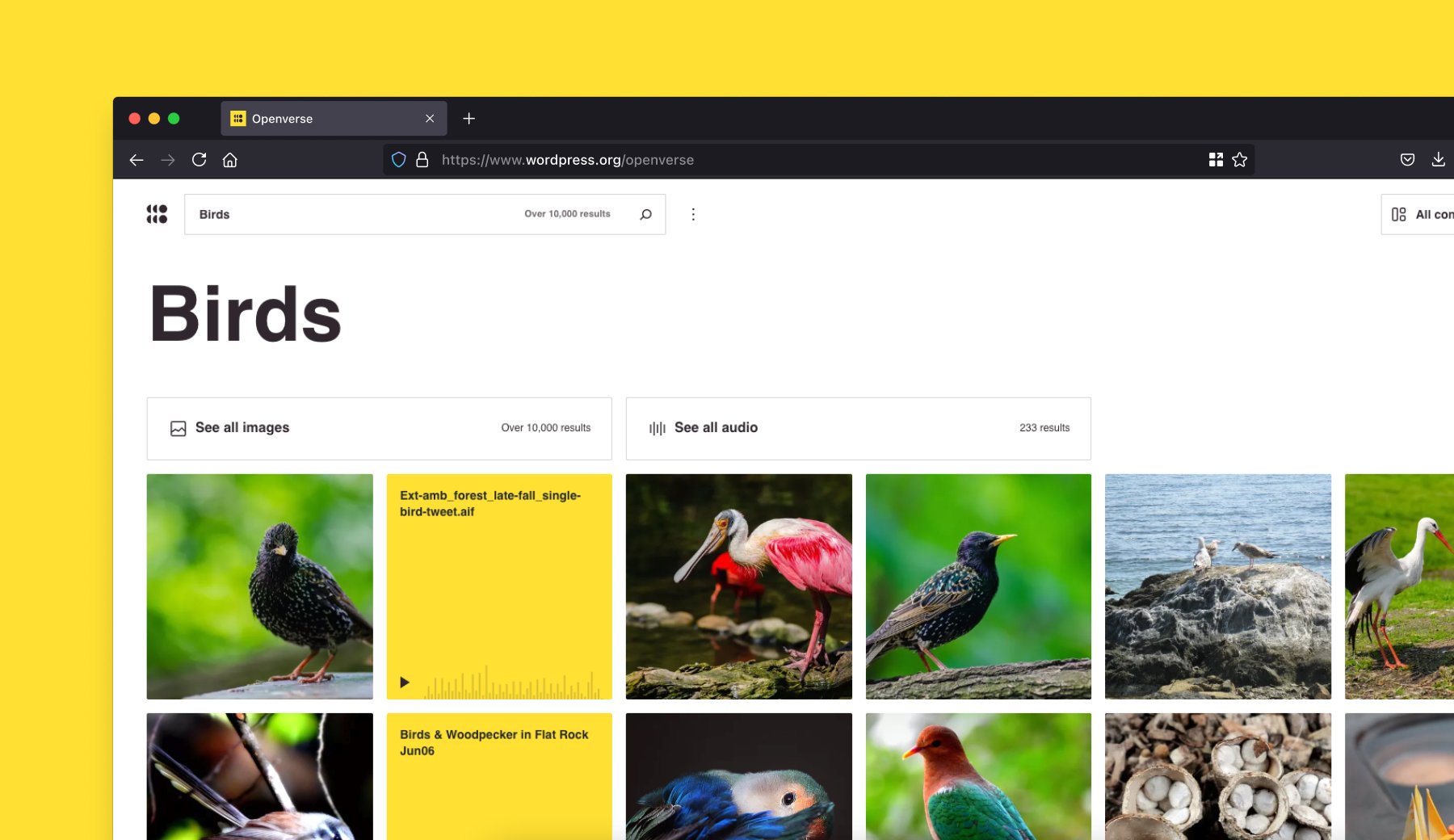 Screenshot of the search results for "Birds" on Openverse.