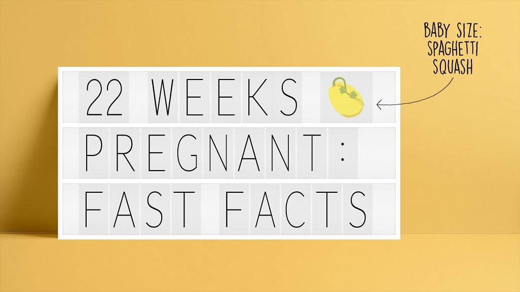 text: 22 weeks pregnant: fast facts