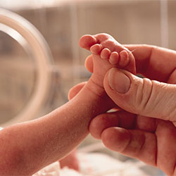 Hand holding baby's foot in NICU