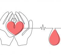 Blood donation illustration